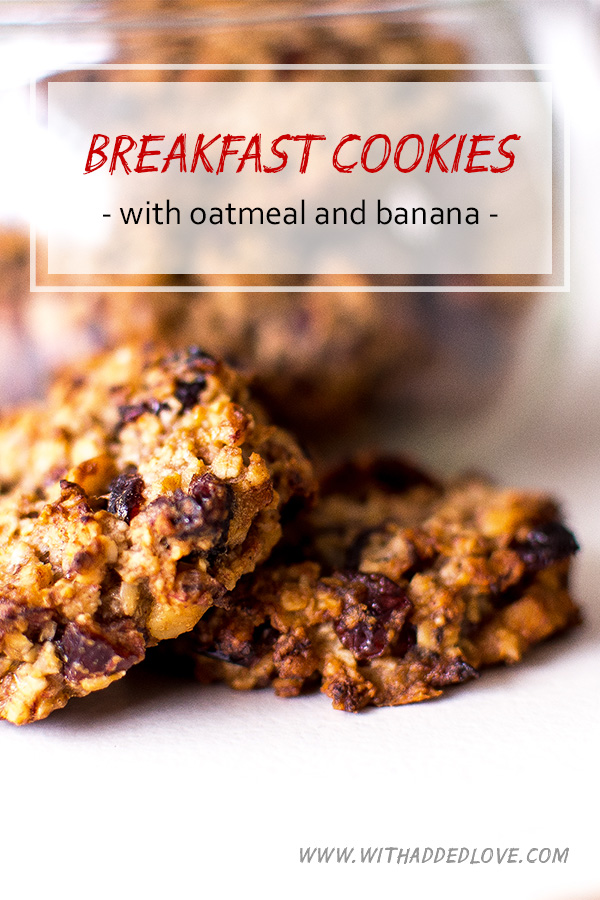 healthy breakfast cookies